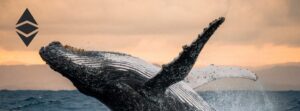یک نهنگ در ماه گذشته ۹۰ میلیون دلار اتریوم از بایننس خارج نموده است
