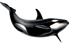یک نهنگ در ماه گذشته ۹۰ میلیون دلار ETH از بایننس خارج کرده است